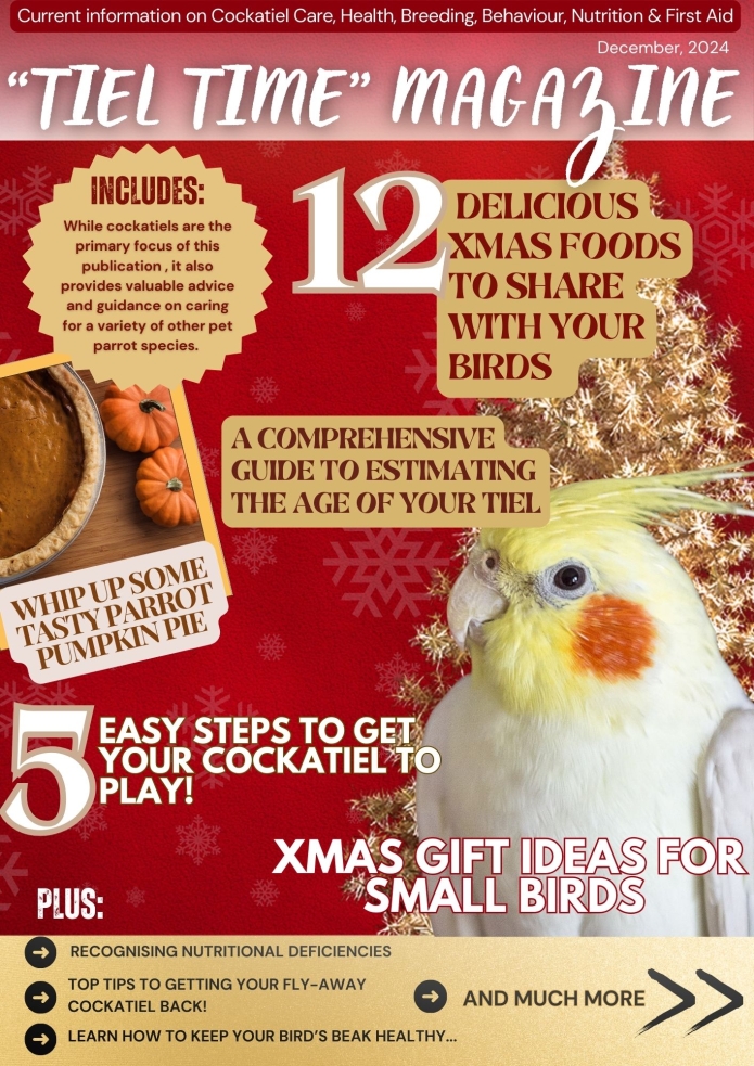 Tiel Time edition 4